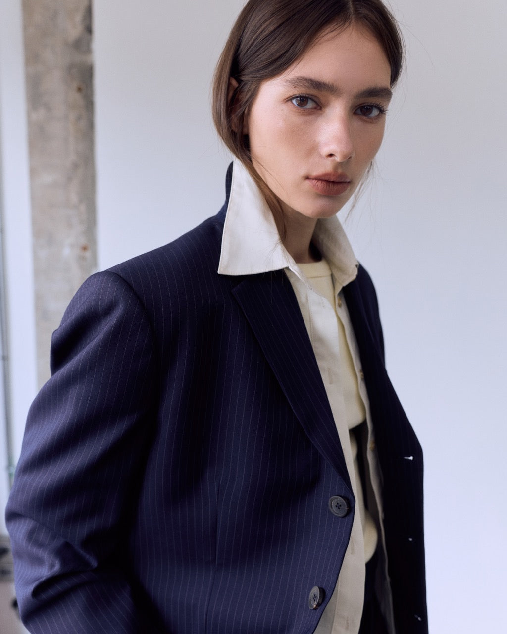 Wardrobe I - AMR Single-Breasted Blazer in Navy Blue Stripe